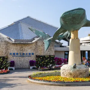 츄라우미 수족관