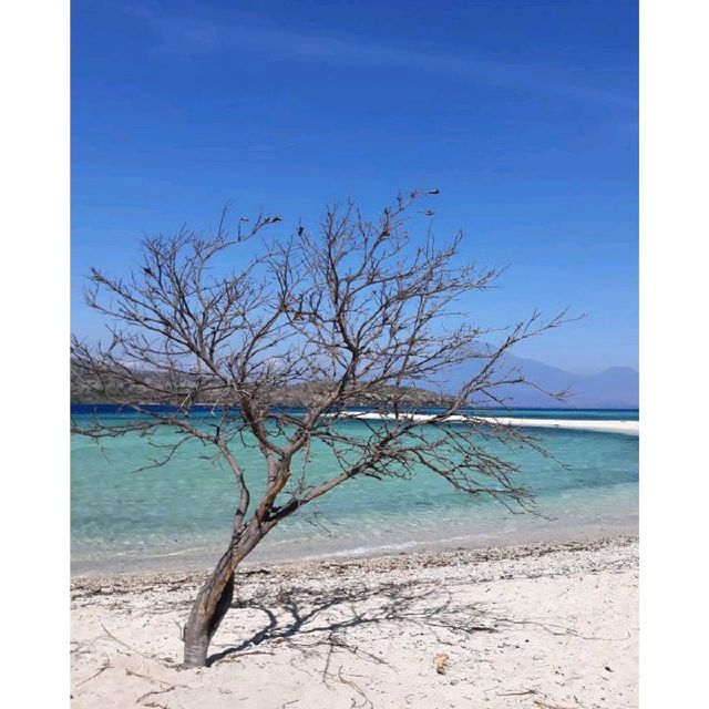 Lost in Paradise, Menjangan Island