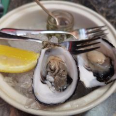 THE GROUNDS OF THE CITY User Photo