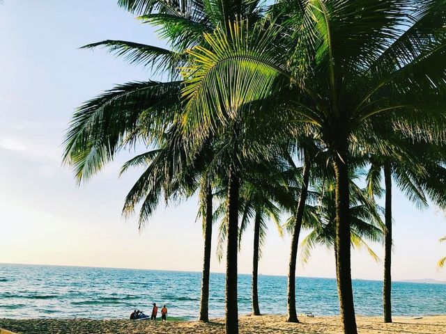 Sunsets, coconuts, beach and everything