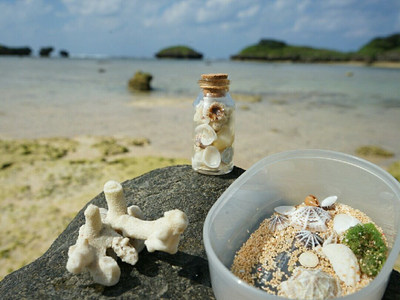 西表島の星砂の浜で星砂探し 大自然の西表島 石垣港 Trip Com 西表島の旅のブログ