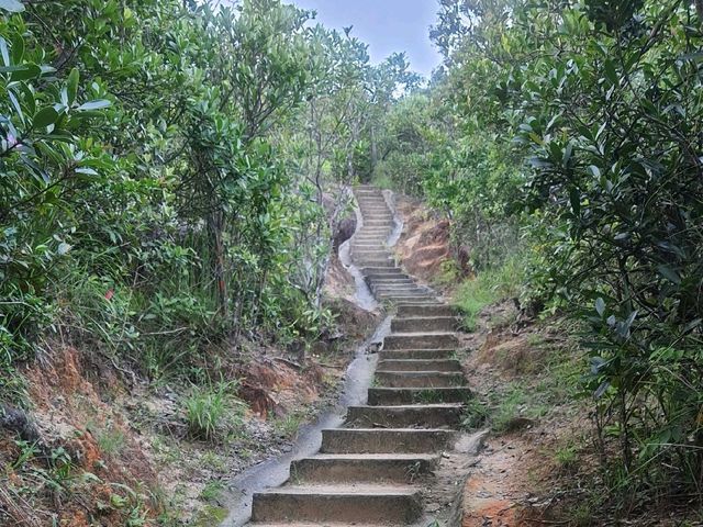 港島全景─渣甸山‧畢拿山