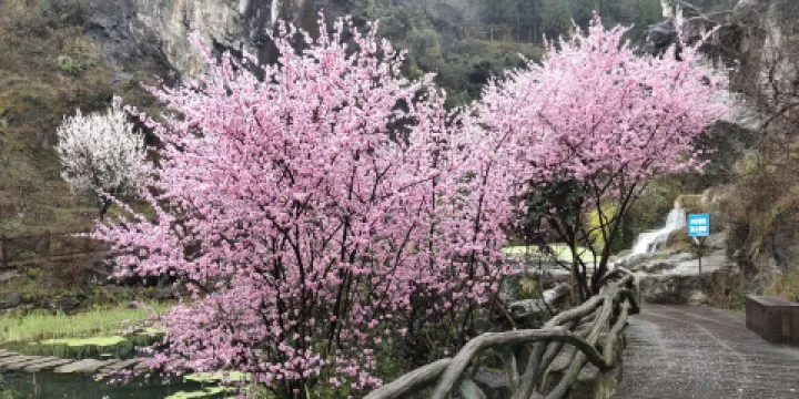 明湖國家濕地公園