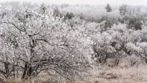 Xunke County Gunawen Rime Scenic Area