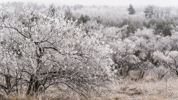 Xunke Dapingtai Wusong Sceneic Area