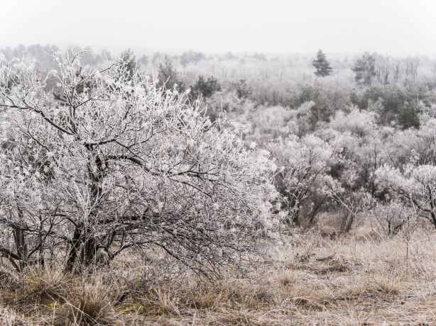 Xunke County Gunawen Rime Scenic Area