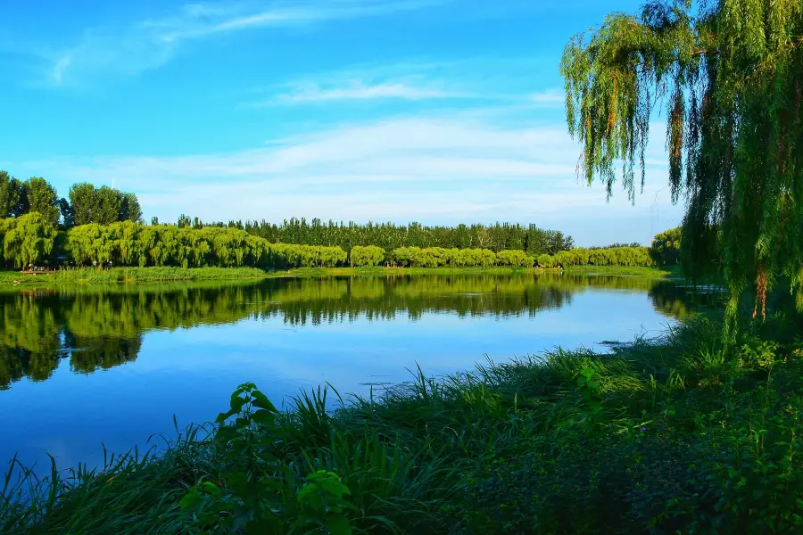 稲香湖自然湿地公園