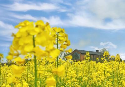 卓爾小鎮桃花駅