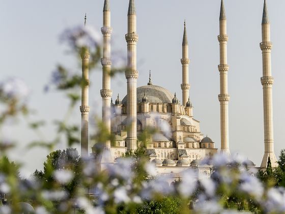 The Blue Mosque