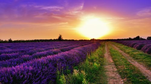 Provence