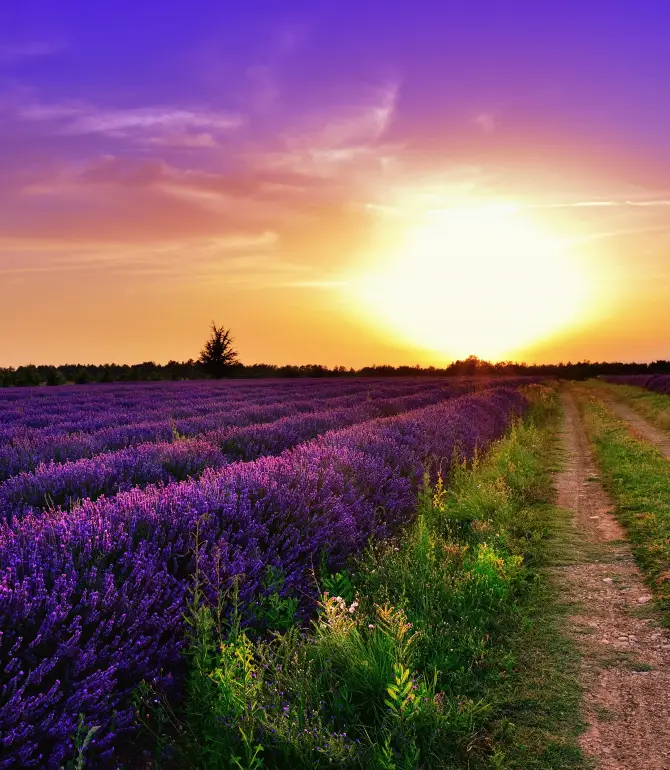 Alpes-de-Haute-Provence