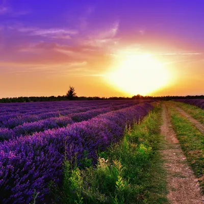 le mas des cerisiers