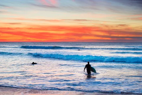 Surfing in Auckland