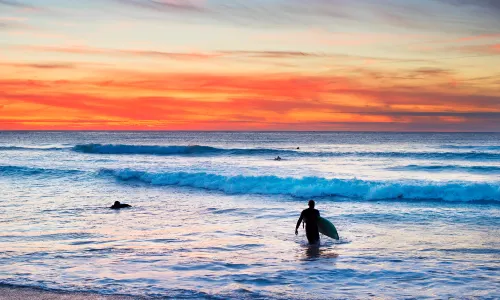 Surfing in Auckland