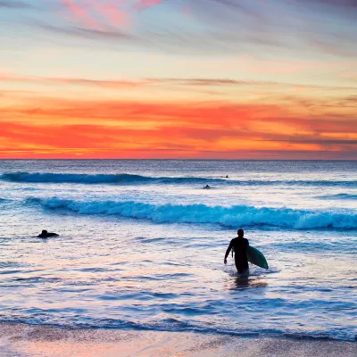 Отзывы об отеле Botany Palms Motel