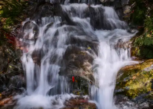 千島湖森林氧吧