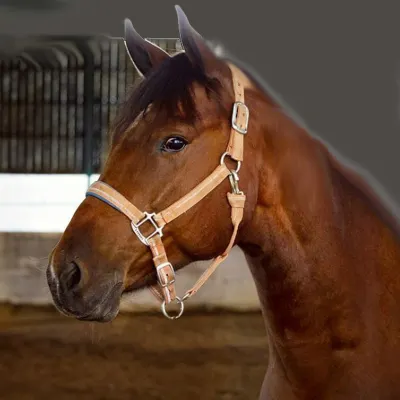 4-звездочные отели в г. Джорджтаун (Кентукки)