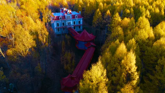 興安國家森林公園