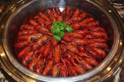 WU TONG SHU JIA RI JIU DIAN HUAN DAO CAN TING