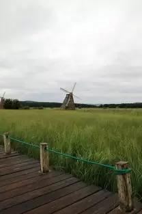 塞罕壩國家森林公園