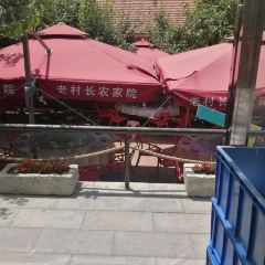 老村长农家院(连鞍线分店) User Photo