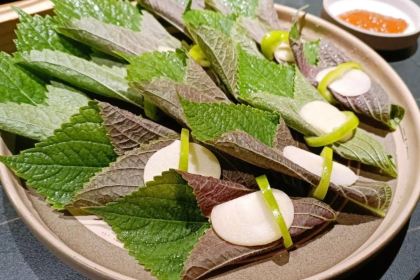 青丘仙派酒馆