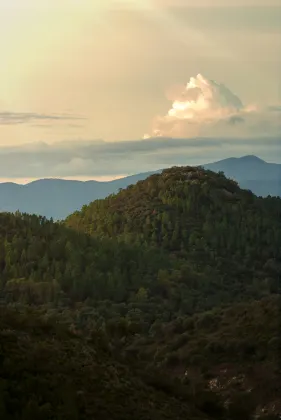 Хоумстей в г. Авиньон