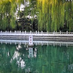 KUI SHENG JU User Photo