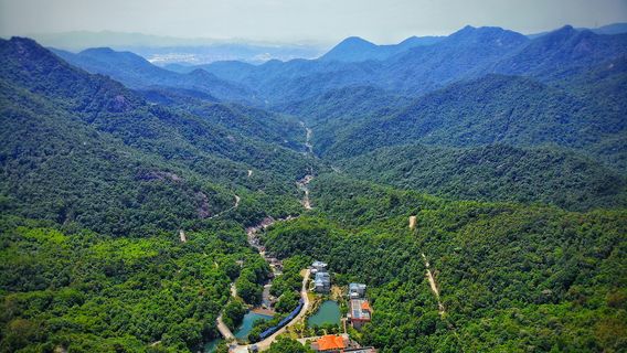 Elephant Head Mountain