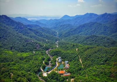 Elephant Head Mountain