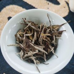 Come Vuoi 여행 사진