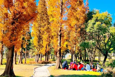 몽산 국가 삼림공원 관광지