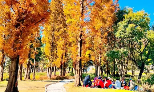 The National Forest Park of Mount Meng Shan