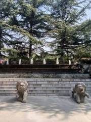 Luozhuang Zoo