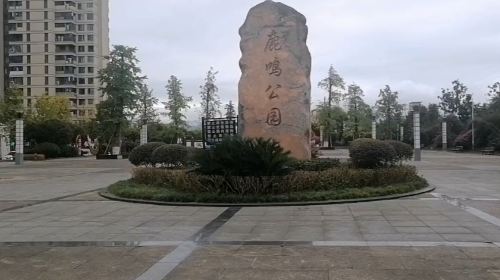 Luming Park