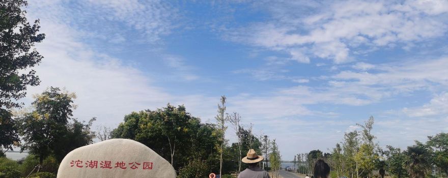 沱湖濕地風景區