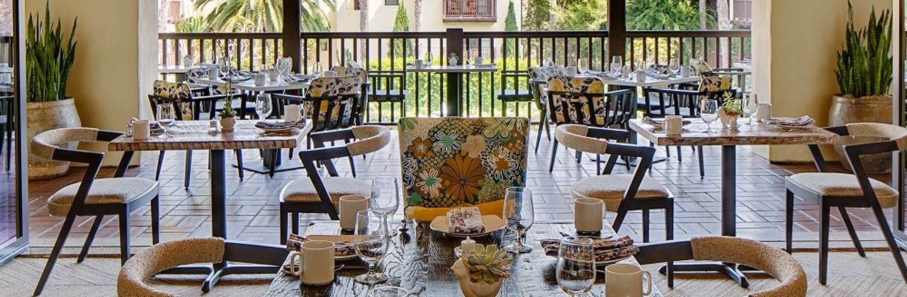 Greenfinch at Estancia La Jolla