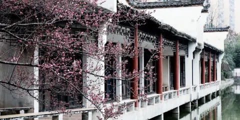 蘇景園