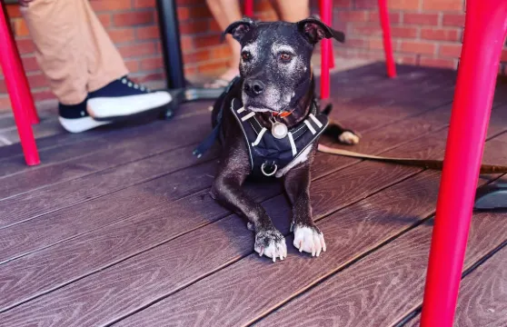 The Wine Collective Of Scottsdale