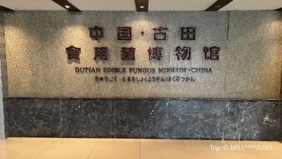 China Gutian Edible Fungi Museum