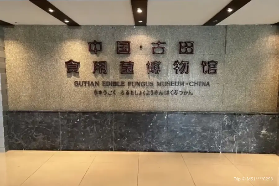 China Gutian Edible Fungi Museum