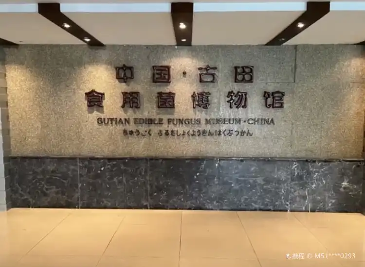 Hotels near China Gutian Edible Fungi Museum
