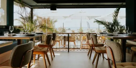 Palocortado Meloneras