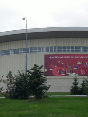 Futbol'no-Legkoatleticheskiy Manezh Tsentral'nogo Stadiona