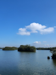 State Park Serra do Mar