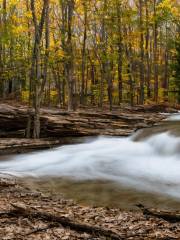 Parker Mill County Park