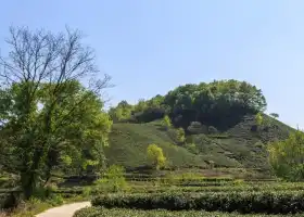 Shihegang Hejiazhai Tea Garden