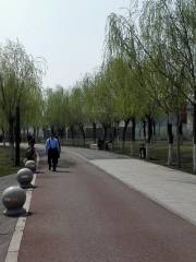 Wuqing Canal Ecological Leisure Island, Tianjin
