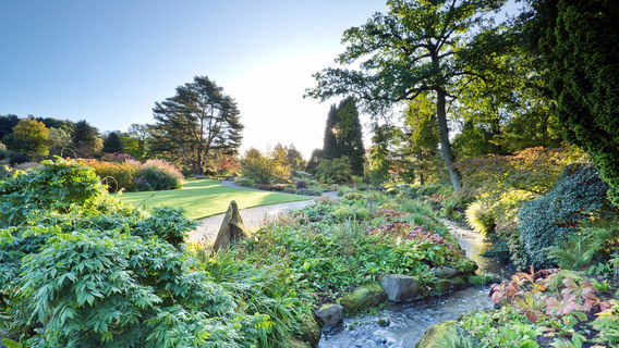 RHS Garden Harlow Carr
