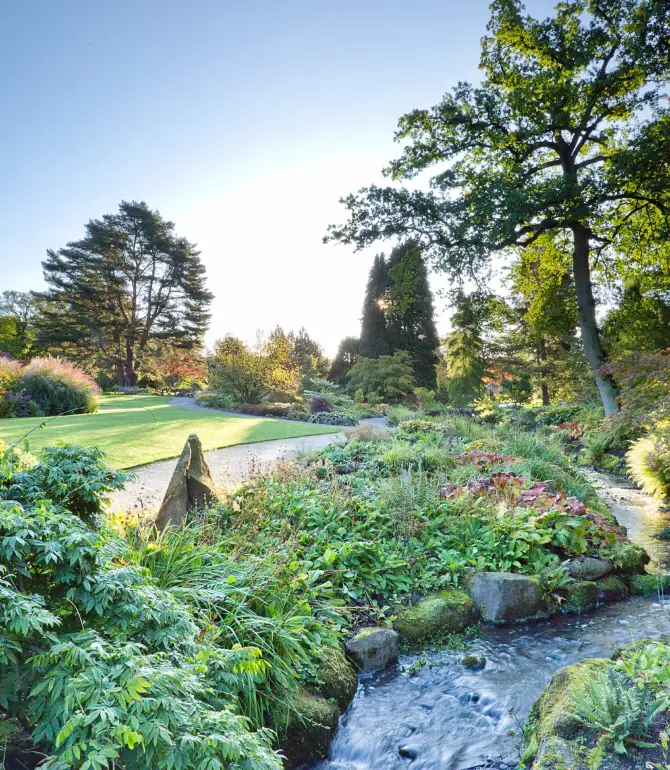 Harrogate